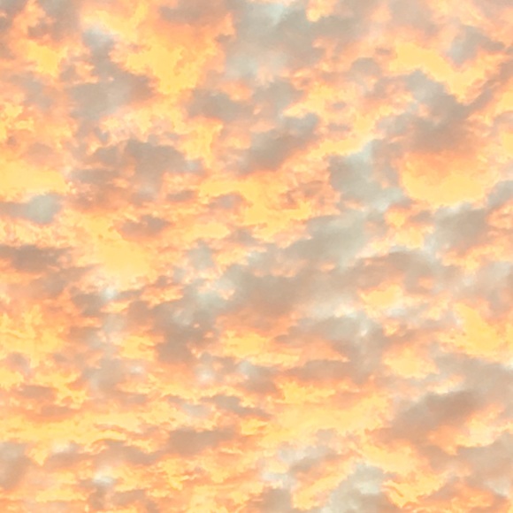 Meet your Posher, Uli - Picture 1 of 1